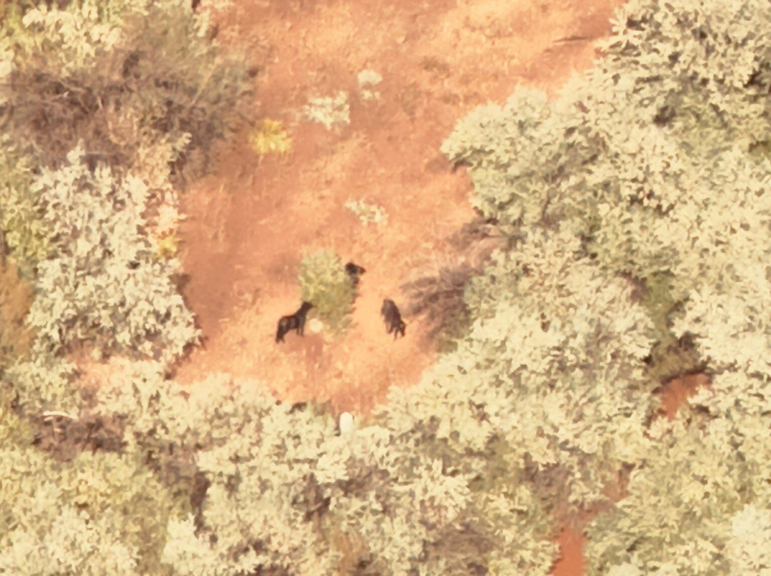 South Rim Drive-Chinle必去景点