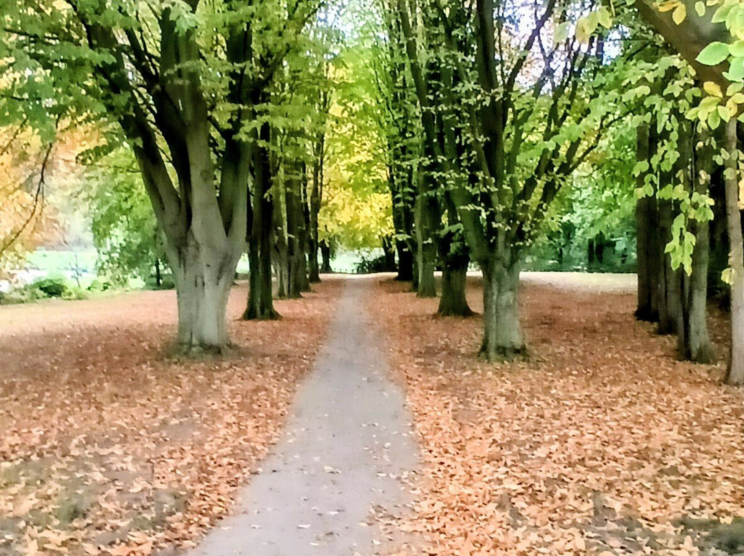 Elsecar Park-巴恩斯利必去景点