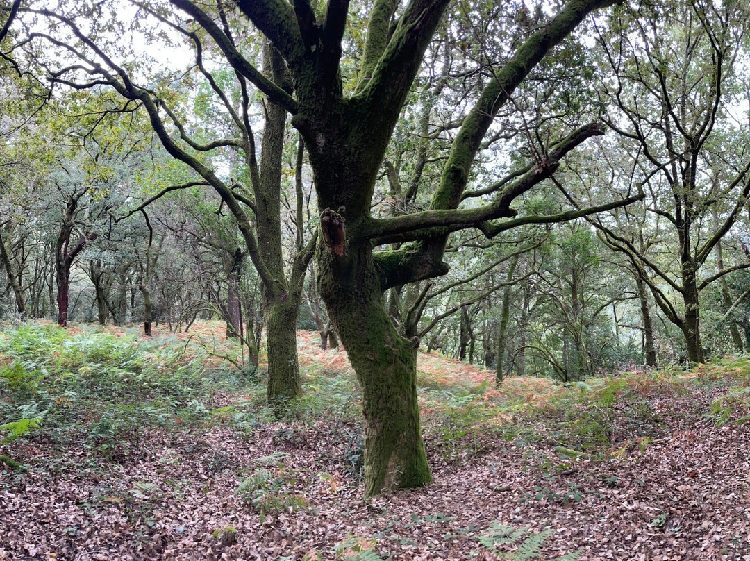 Fervenza do Toxa-西莉达必去景点