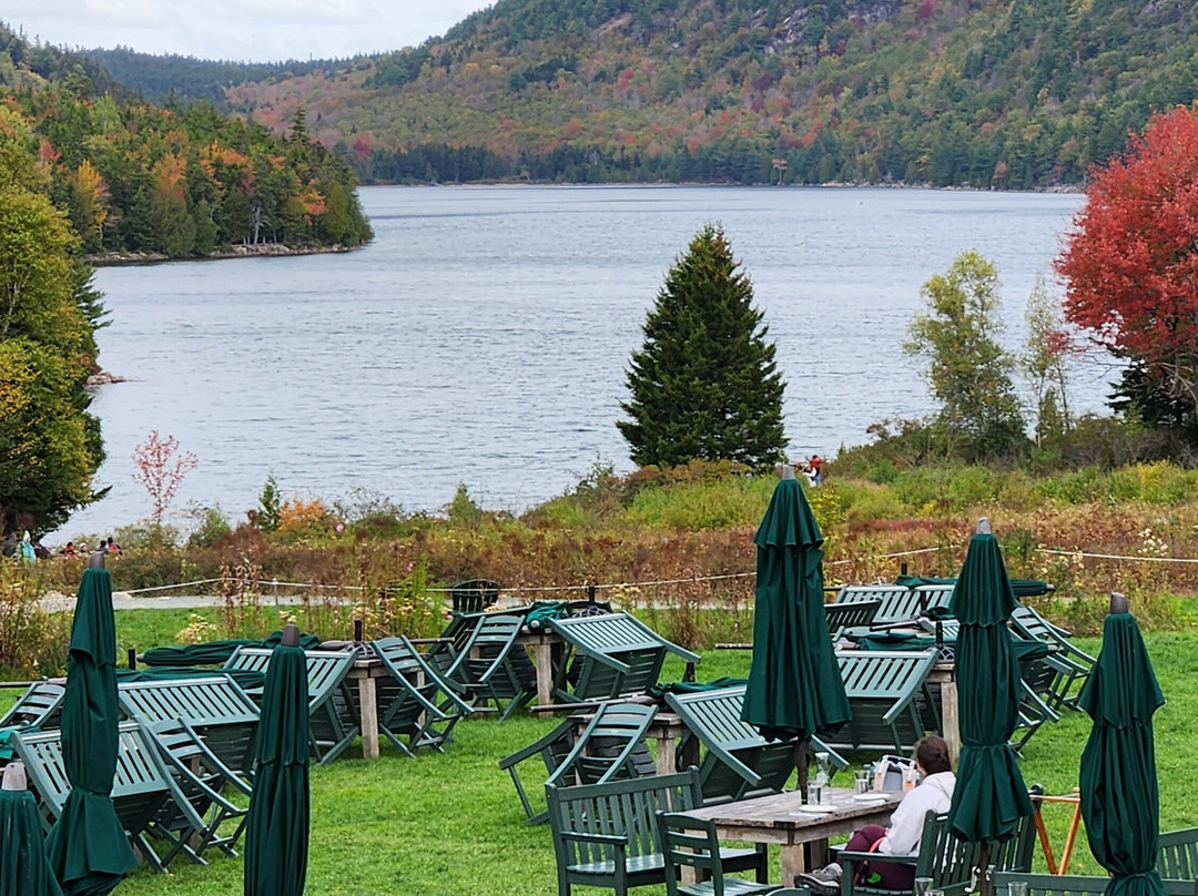 Oli's Trolley - Acadia National Park Tour-巴港必去景点