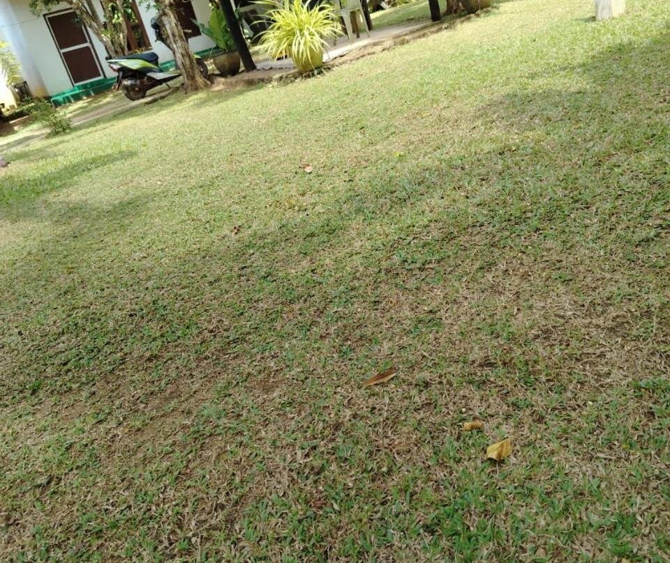 SA Resort
