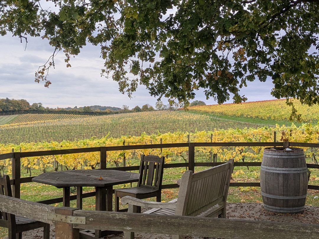 Denbies Wine Estate Ltd-多肯必去景点