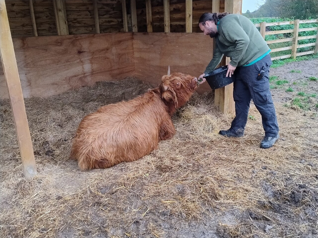 Quex Adventure Farm Park-Birchington必去景点