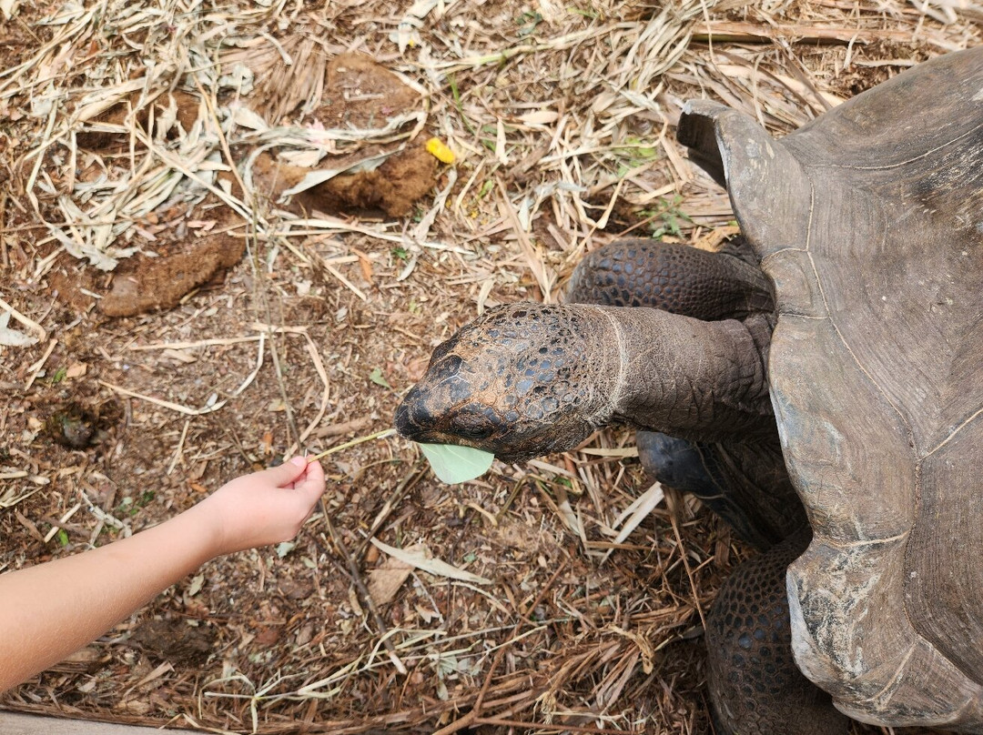 Praslin Museum-普拉兰岛必去景点