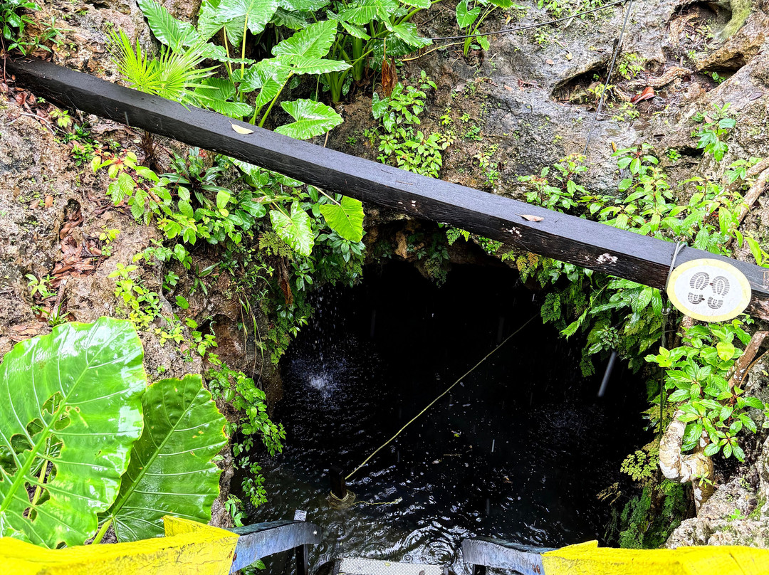 Cenote 7 Bocas-从莫雷洛斯港必去景点