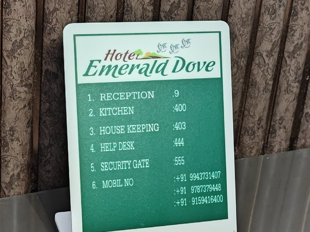 Treebo Premium Emerald Dove主图