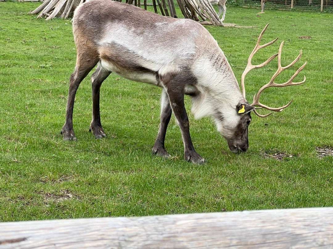 Jimmy's Farm & Wildlife Park-伊普斯威奇必去景点
