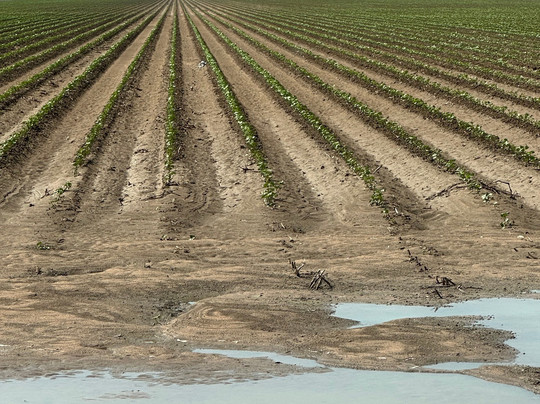 St George Region Explore Centre-St George必去景点