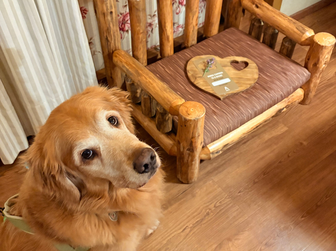 Parador Cambará do Sul主图