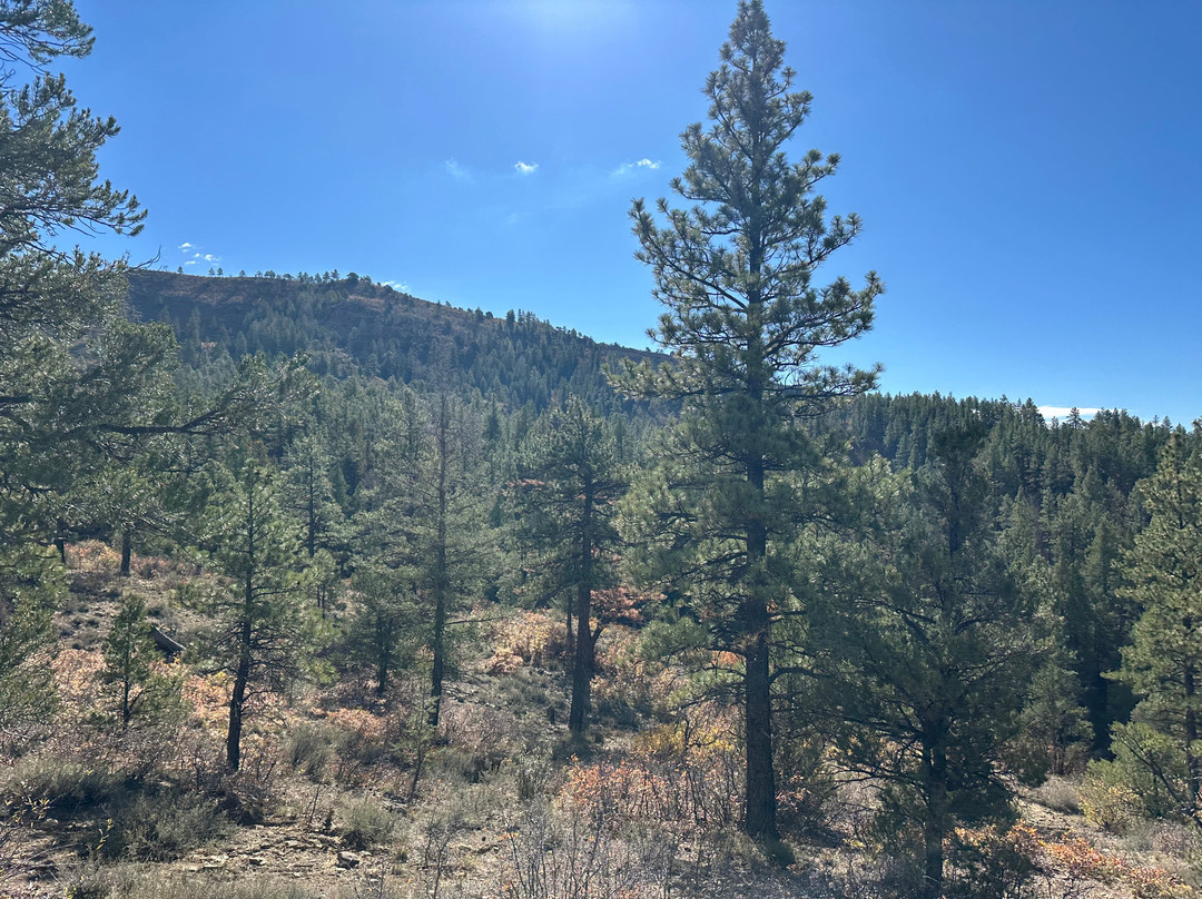 Over the Hill Outfitters-杜兰戈必去景点