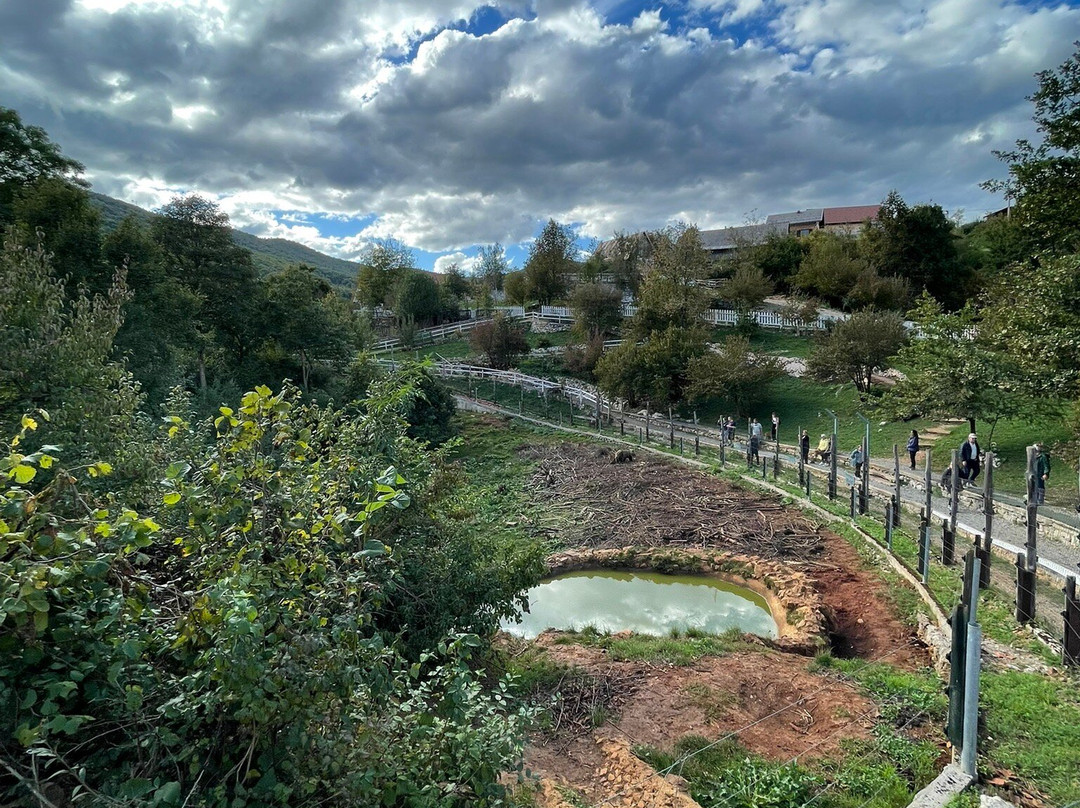 Bear Sanctuary-Kuterevo必去景点