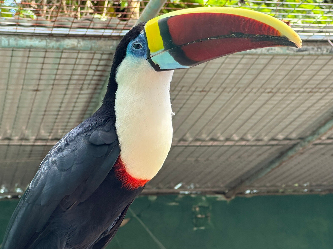 Guyana Zoological Park-乔治城必去景点