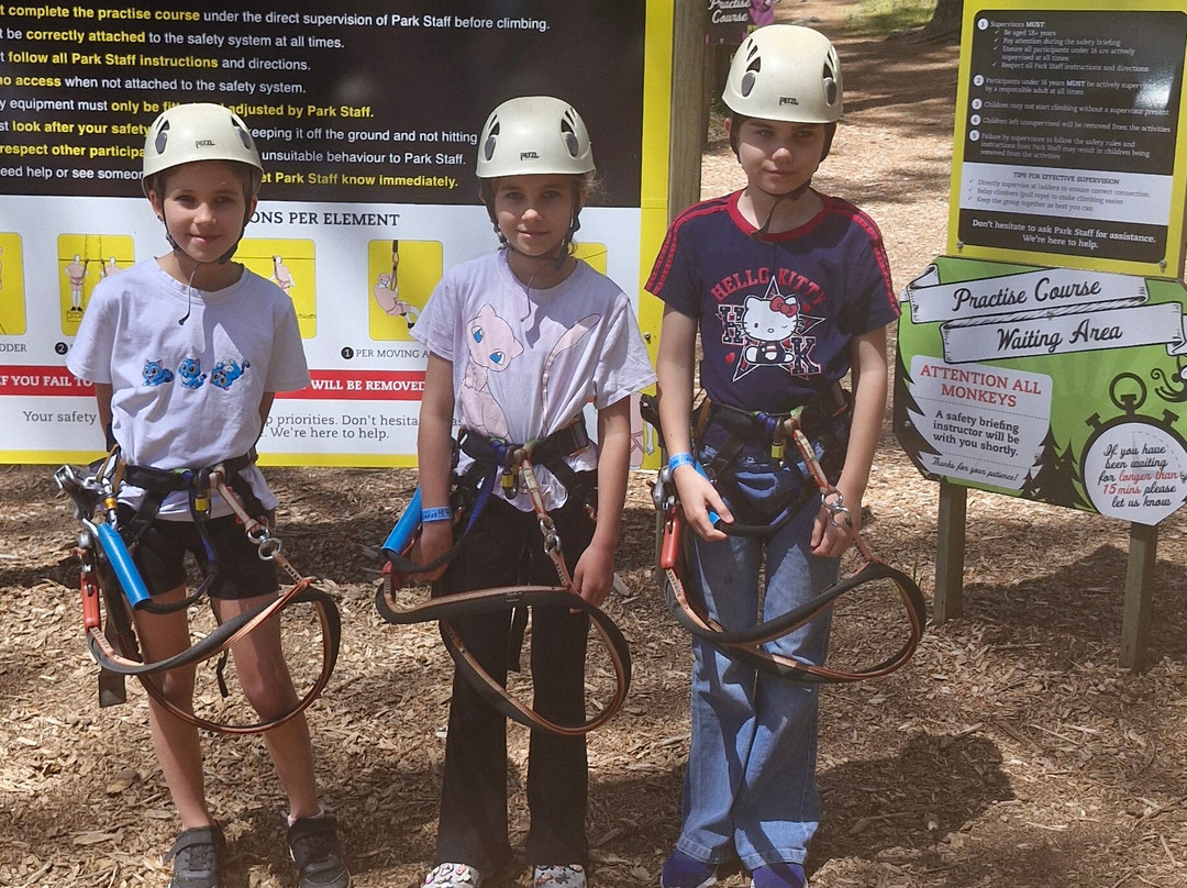 Tree Adventures-伍德山必去景点