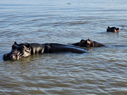 DayToursKzn-德班必去景点