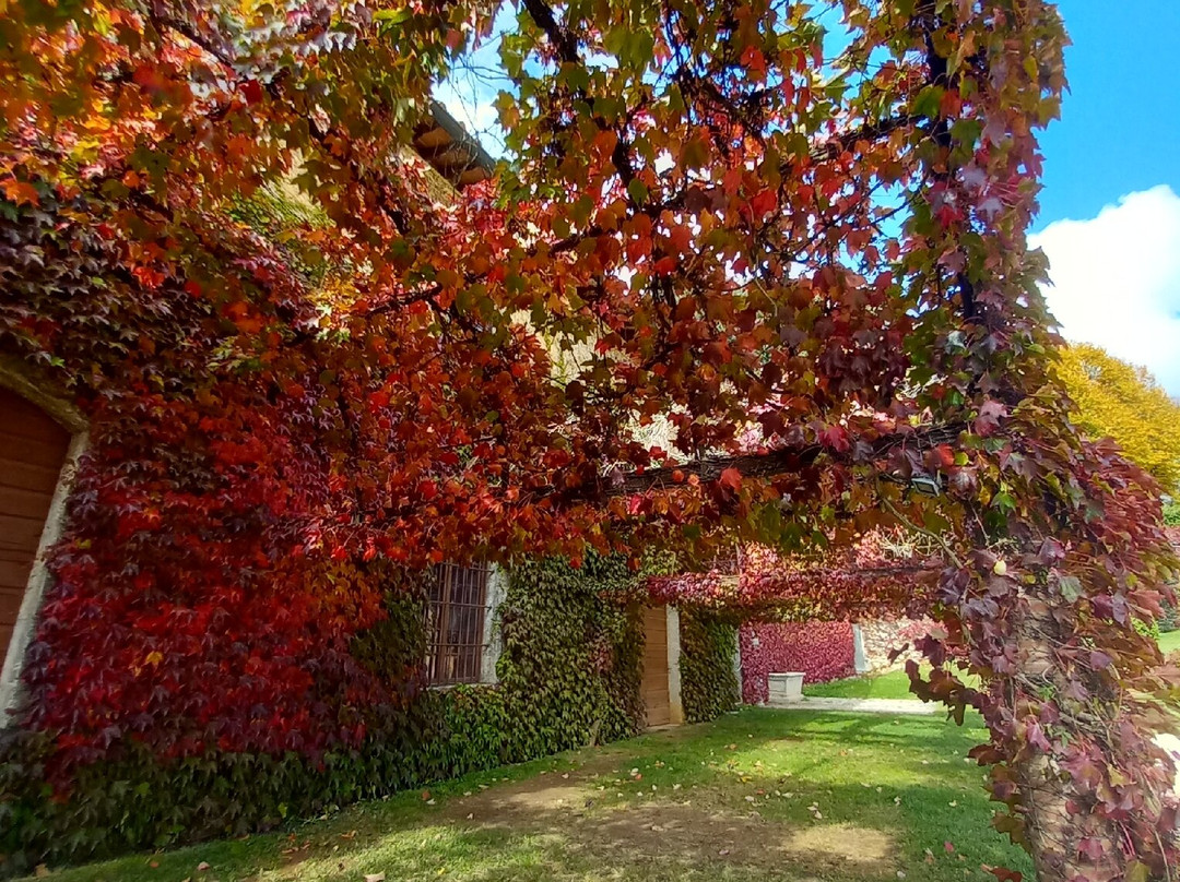 Villa Celsa e Cappella di Celsa-索维奇勒必去景点