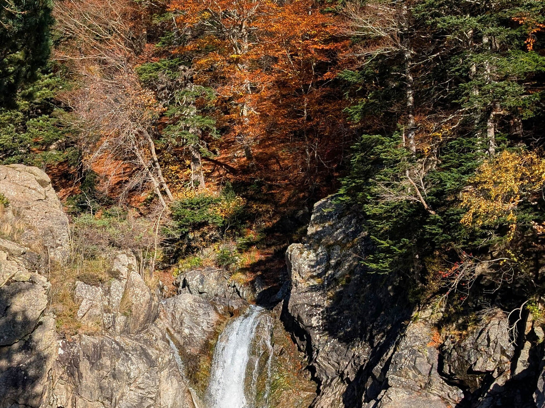 阿尔尼斯酒窖酒店主图