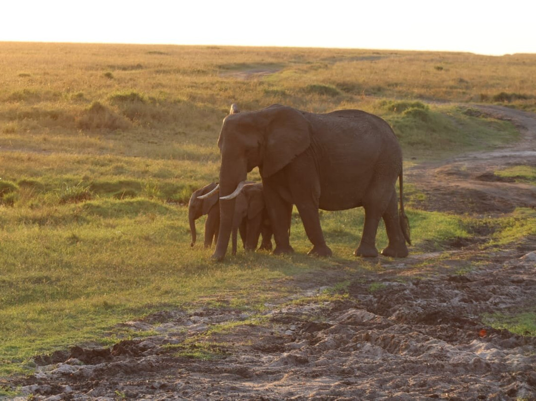 Wild Springs Adventures-内罗毕必去景点