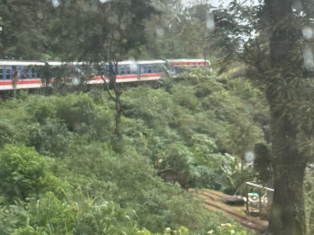 FineLankaTours-科伦坡必去景点