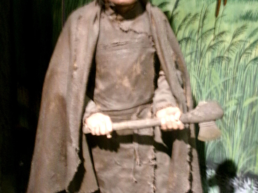 Lynn Museum-金斯林必去景点