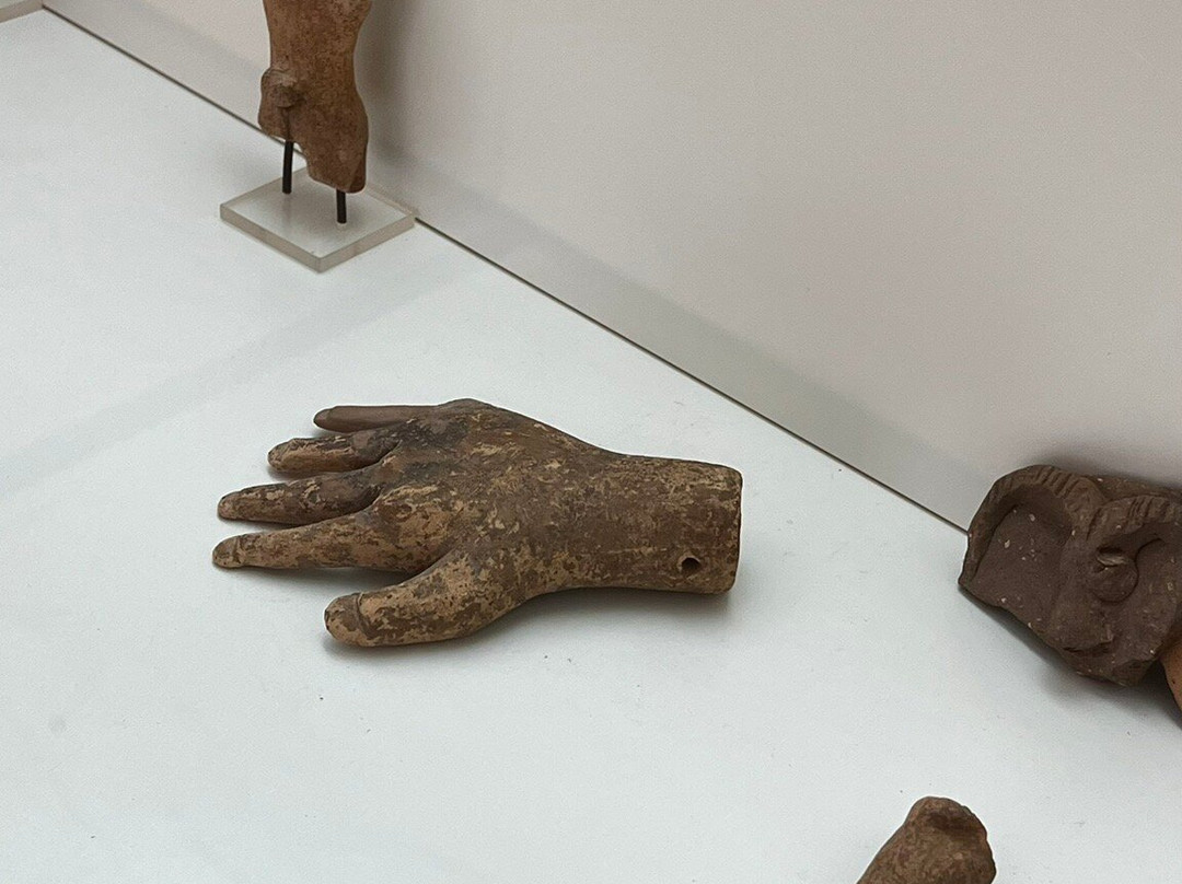 Archaeological Museum of Sitia-Sitia必去景点