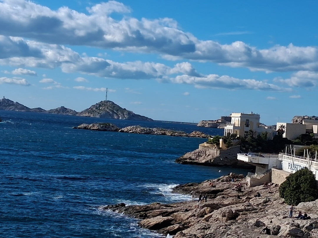 Petit Train Marseille-马赛必去景点