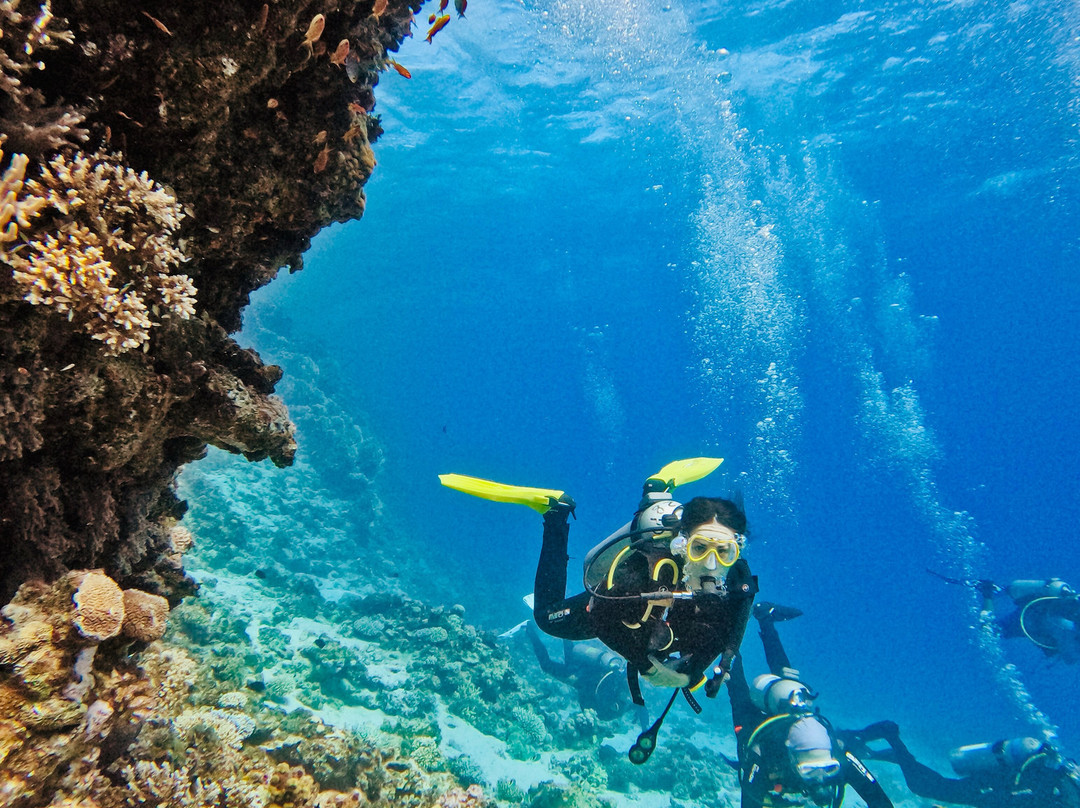 Penguin Divers Club-达哈卜必去景点