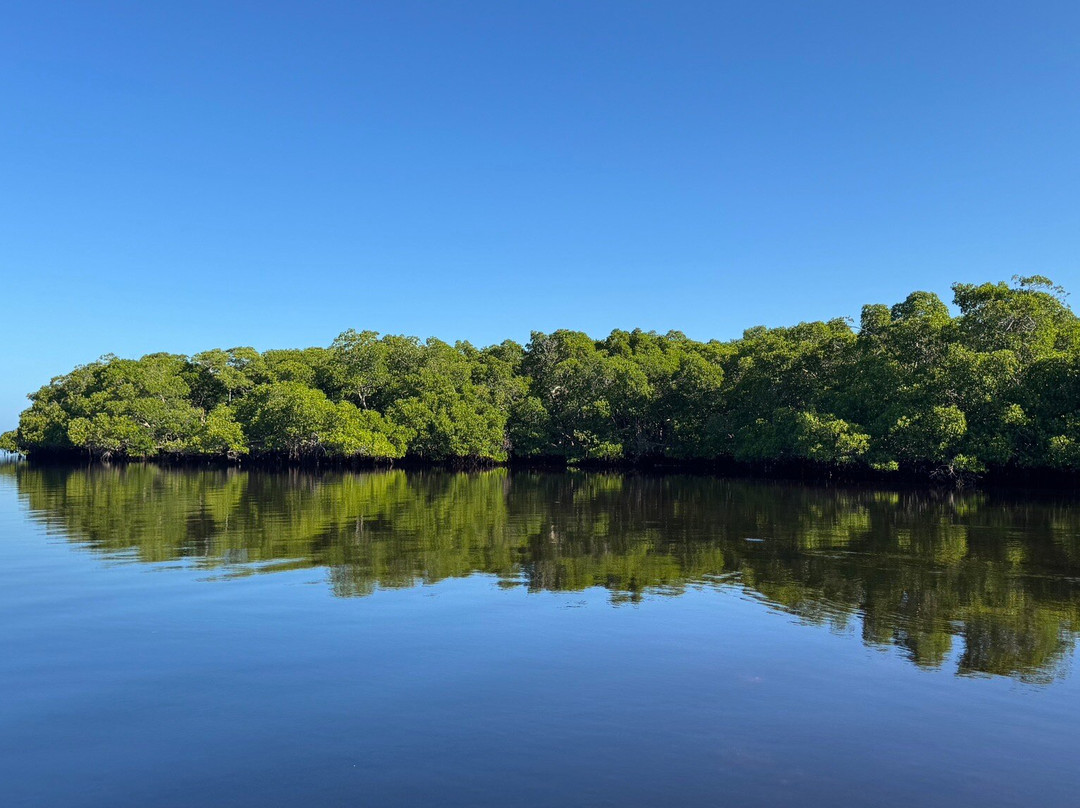 Tarpon Town Anglers-坎佩切州必去景点