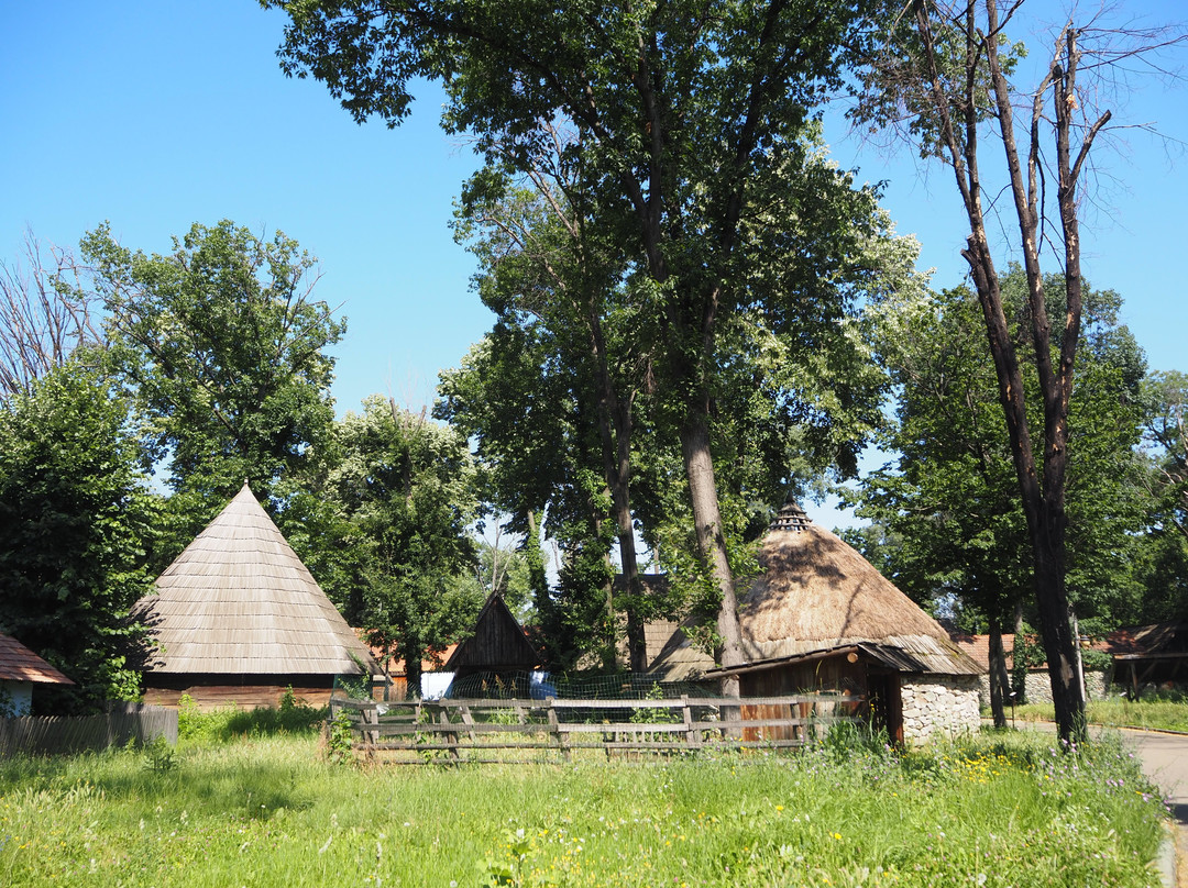 Muzeul Naţional al Satului "Dimitrie Gusti"-布加勒斯特必去景点
