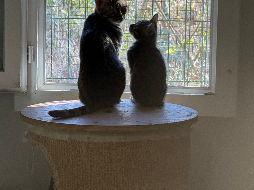 Les Animaux De Fairytale-Cap-d'Agde必去景点