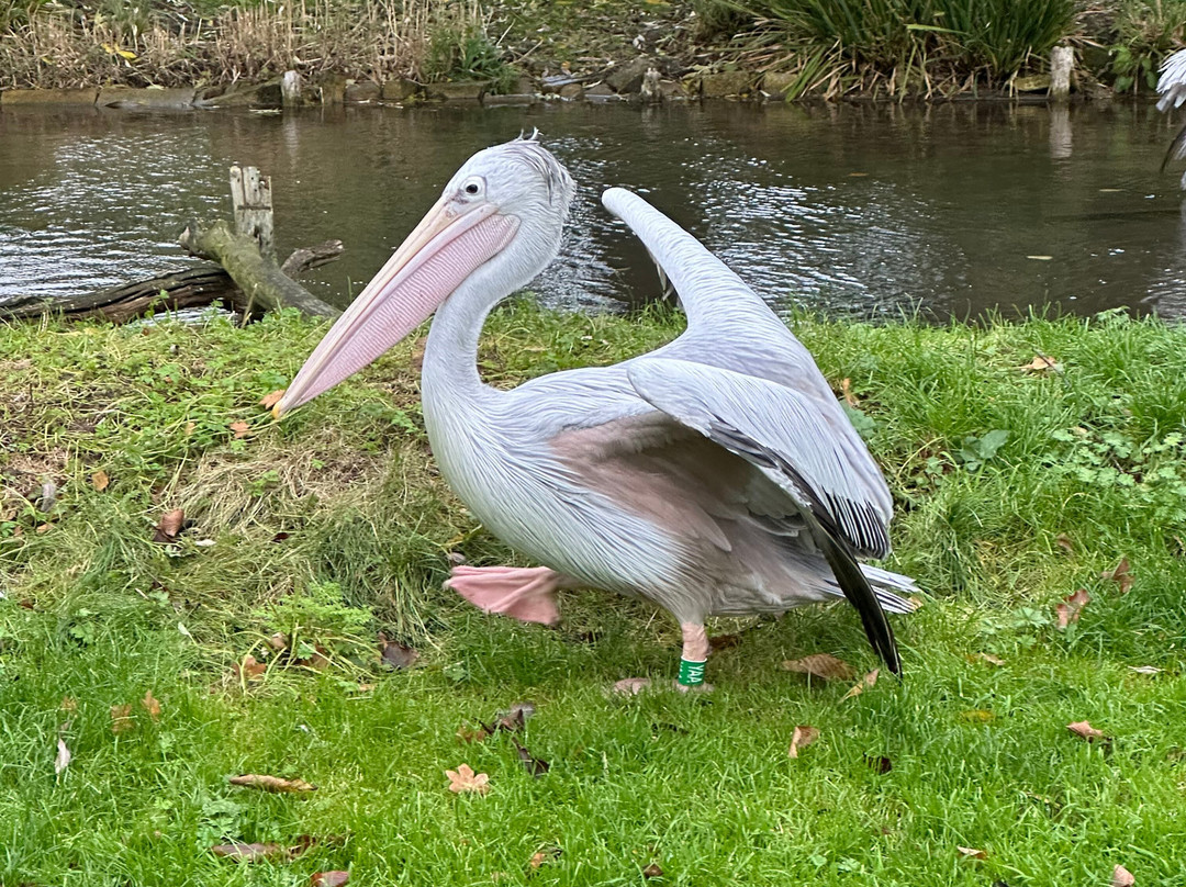 鸟园-水上伯顿必去景点
