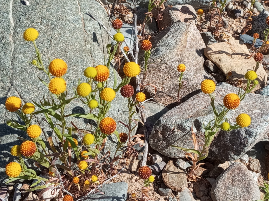 Ecoturismo La Serena-拉塞雷纳必去景点