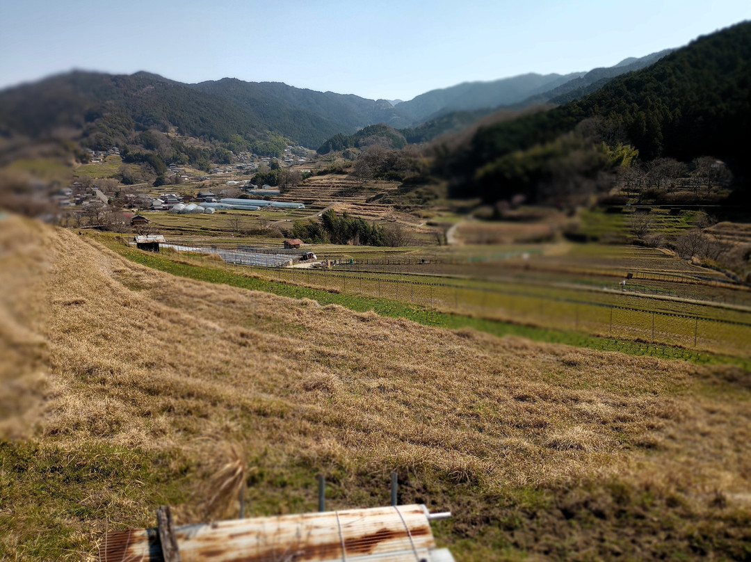 Inabuchinotanada-明日香村必去景点