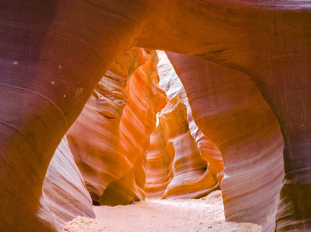 Black Streak Canyon Tours-佩吉必去景点