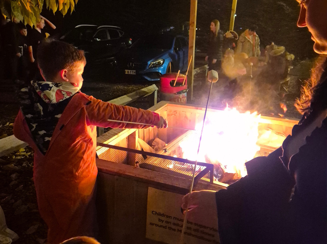 Quex Adventure Farm Park-Birchington必去景点