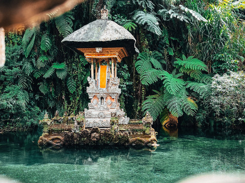 Your Bali mate-Sayan必去景点