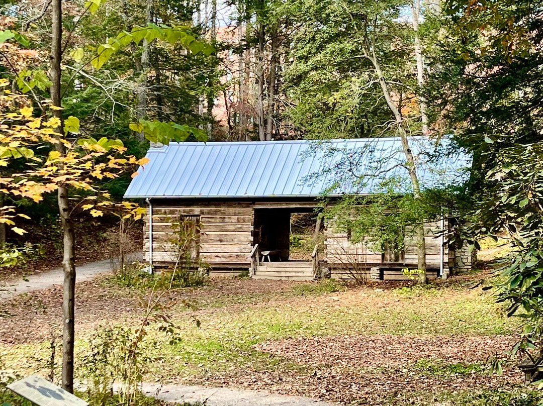 Asheville Botanical Garden-阿什维尔必去景点