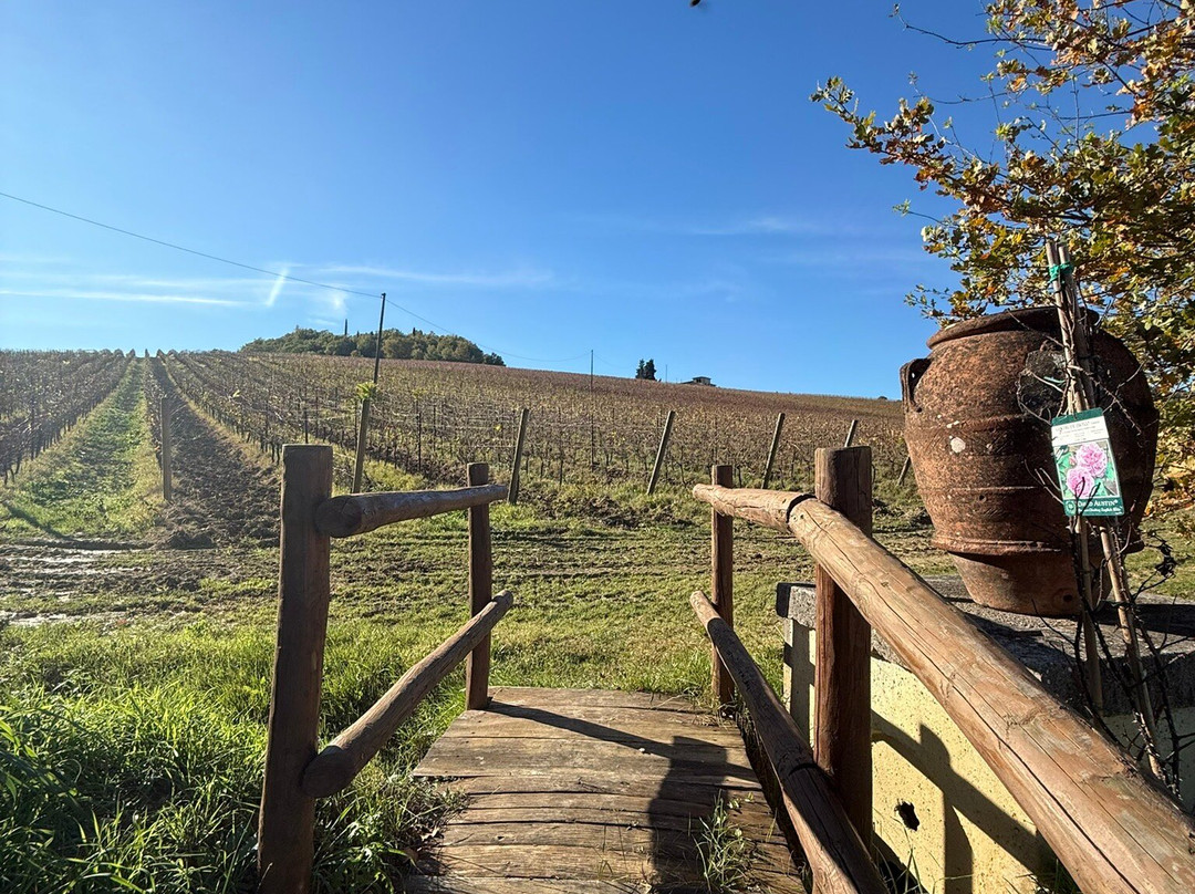 Fattoria La Tancia - LA TANCIA WINERY-佩萨河谷塔瓦内莱必去景点