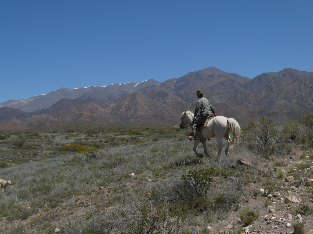 Rancho El Rosario Horse Riding Holidays-门多萨必去景点