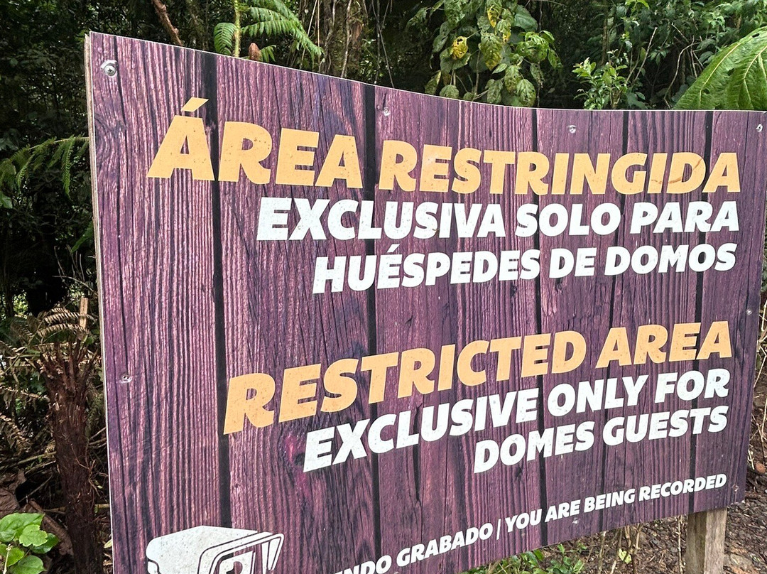 Tree Trek Boquete-波魁特必去景点