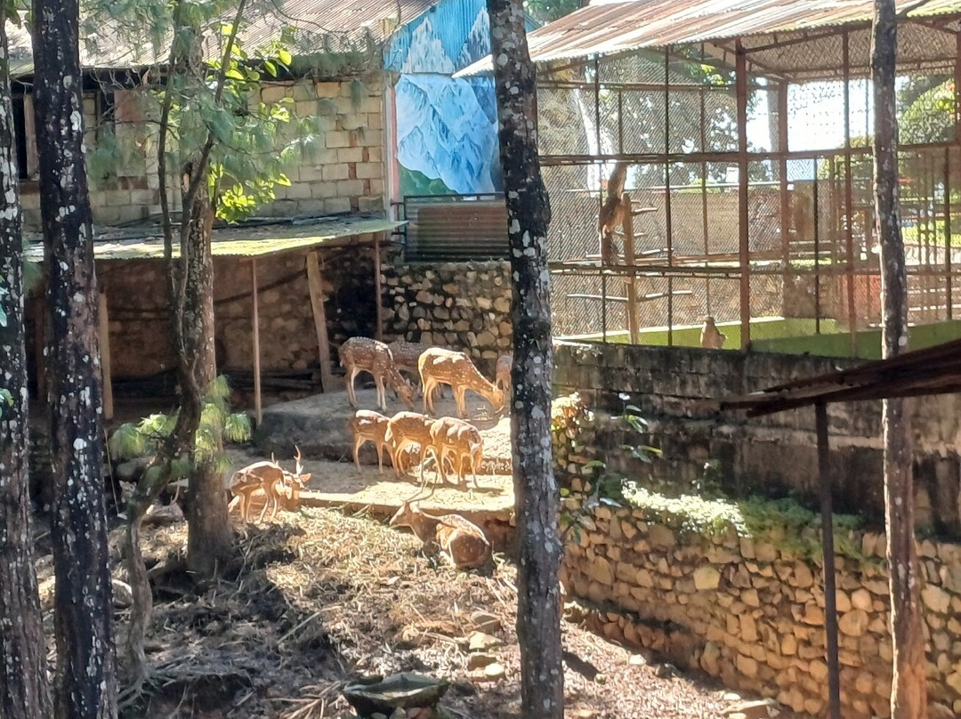 Martyr Memorial Park-Hetauda必去景点