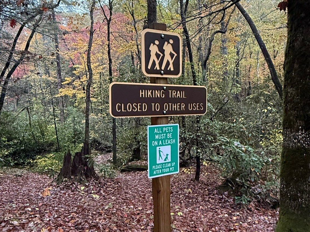 Hemlock Falls Trail-Clarkesville必去景点