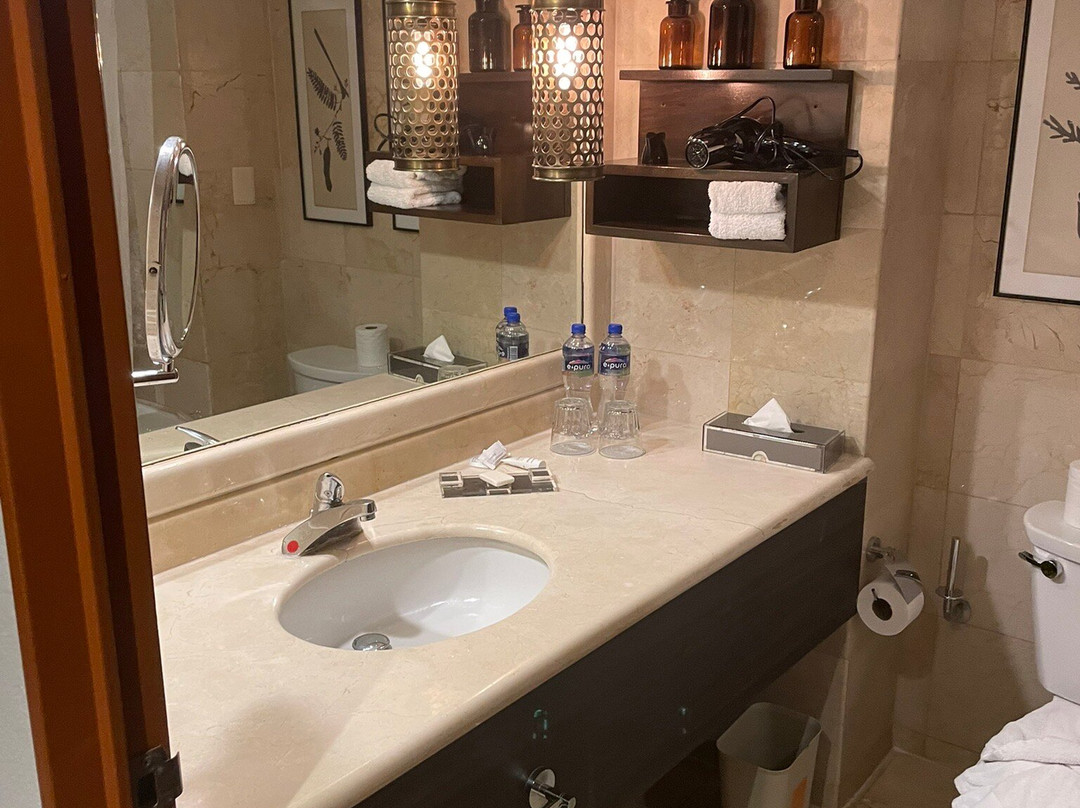 Villahermosa Marriott Hotel主图