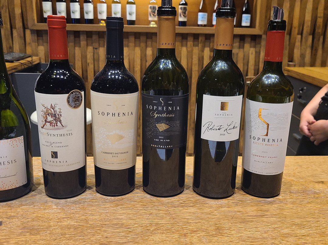 Finca Sophenia-Tupungato必去景点