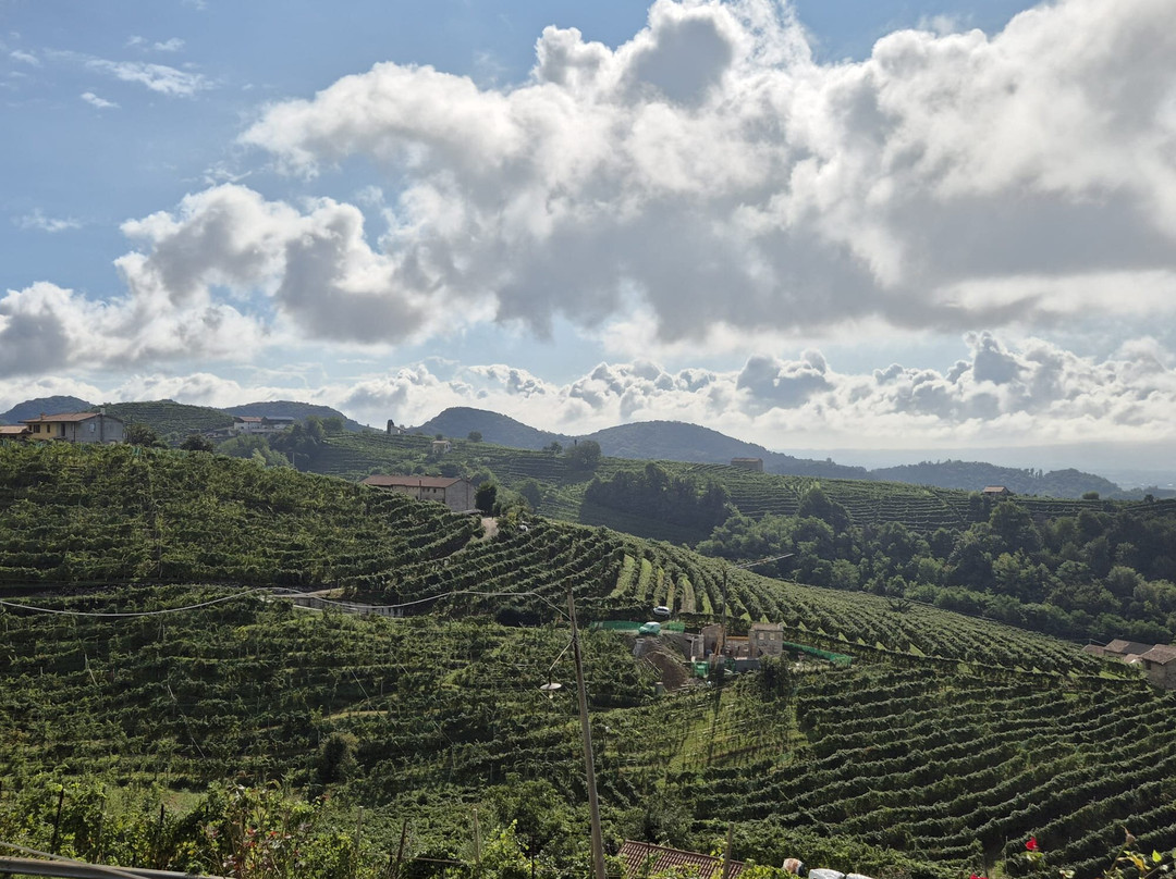 Boutique Hotel Municipio 1815主图