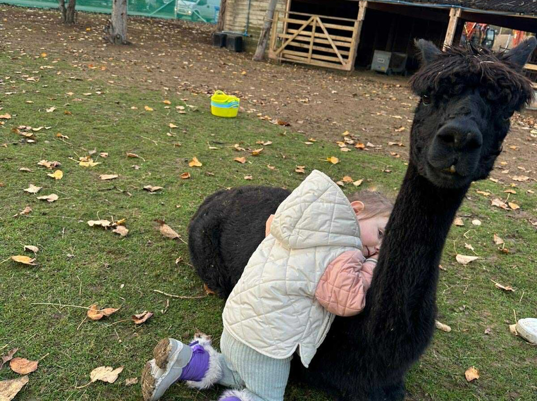 Billing Aquadrome-北安普敦必去景点