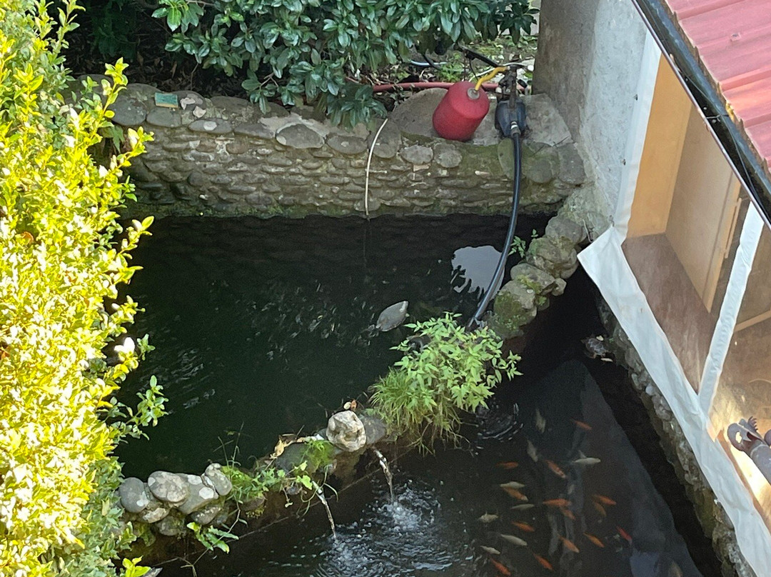 EcoHotel Ristorante Milano主图