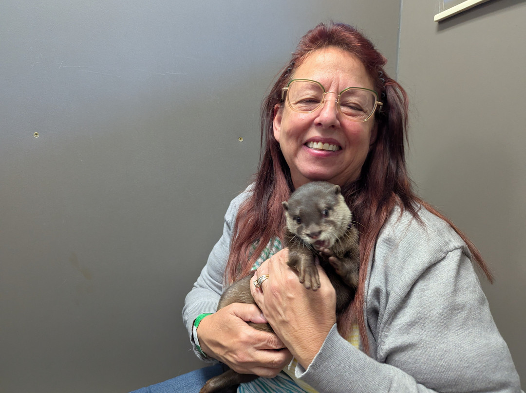 Tanganyika Wildlife Park-Goddard必去景点