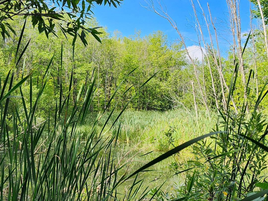 Le Parc Des Hauts-Fonds-St Augustin de Desmaures必去景点