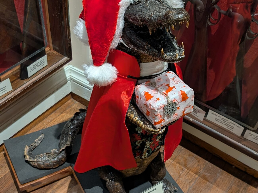 Whitby Museum-惠特比必去景点