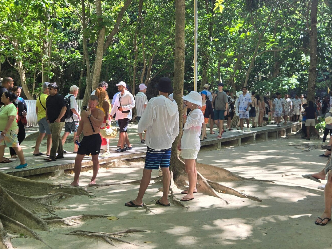 Phi Phi Islands-甲米必去景点